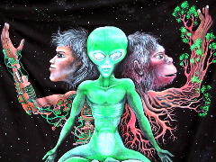 Bild 108